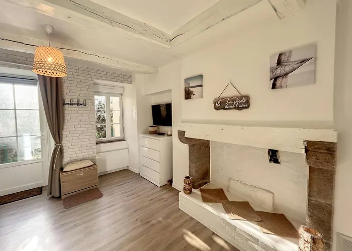 Apartament Refait A Neuf Avec Terrasse - Animaux Admis, Wi-fi Gratuit - Fr-1-361-562 *