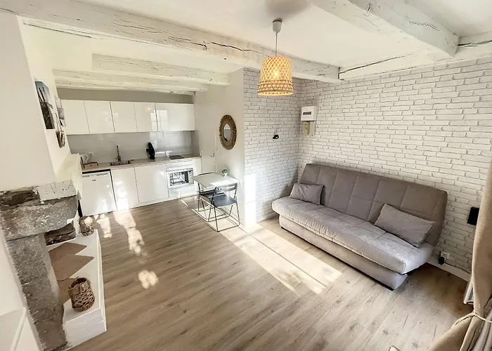 Apartment Refait A Neuf Avec Terrasse - Animaux Admis, Wi-fi Gratuit - Fr-1-361-562 *
